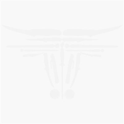 Knochenstaub-Entferner eckig